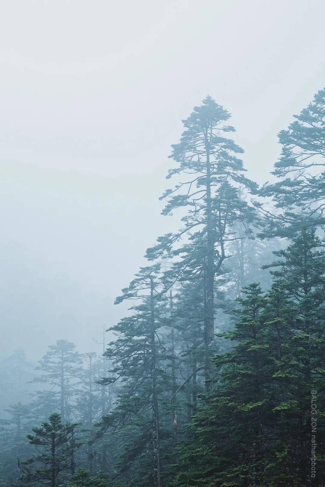 天下HD