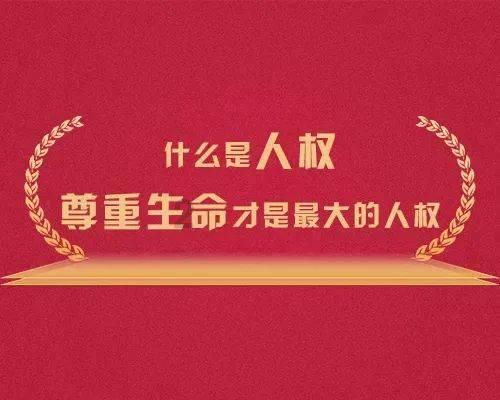 红楼梦里的贾母属什么游戏画面