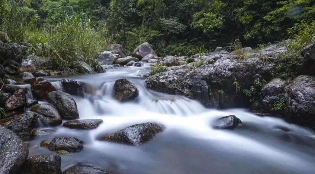 辣子鸡丁是怎样做出来的呢?-专业有问必答平台
