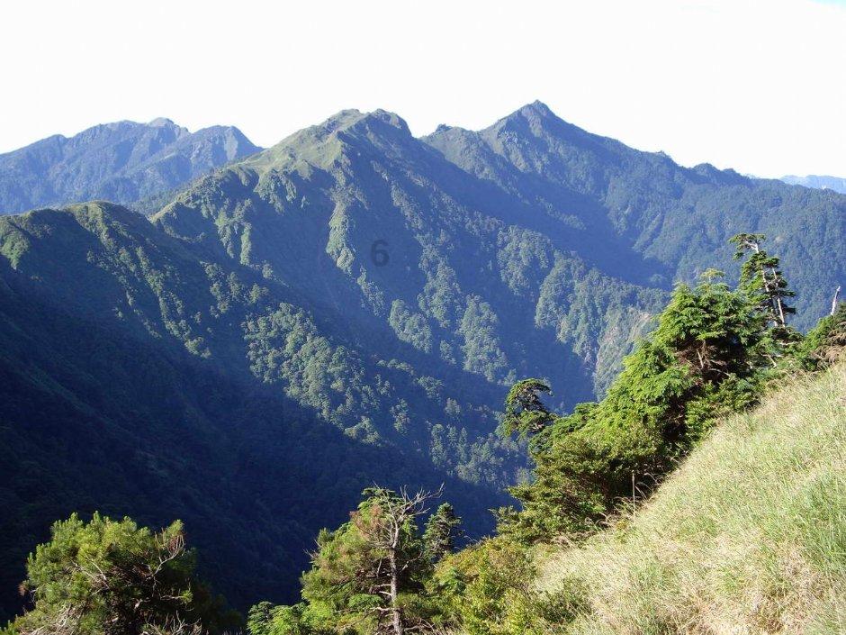逃离废弃高校